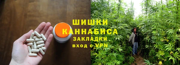 амф Карпинск