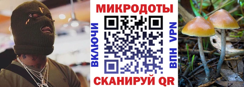 Купить закладки  Ахтубинск  Галлюциногенные грибы ЛСД 